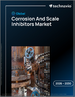 全球腐蚀和结垢抑制剂市场，2026-2030年