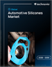 2026-2030年全球汽车用硅胶市场