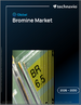 全球溴市场，2026-2030年