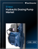 2026-2030年全球液压计量帮浦市场