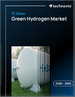 2026-2030年全球绿色氢能市场
