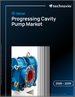 2025-2029年全球渐进式洞穴帮浦市场