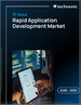 2026-2030年全球快速应用开发市场