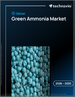 全球绿色氨市场，2026-2030年