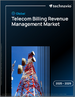 2025-2029年全球电信收费收入管理市场