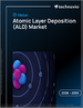 2026-2030年全球原子层沉积（ALD）市场
