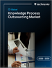 2026-2030年全球知识流程外包市场