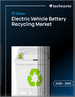 2026-2030年全球电动车电池回收市场