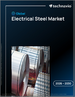 2026-2030年全球电工钢市场