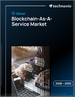 2026-2030年全球区块链即服务市场