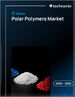 2026-2030年全球极性聚合物市场