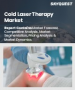 冷雷射治疗市场规模、份额及成长分析（按类型、波长、技术、应用、最终用户和地区划分）－2026-2033年产业预测