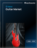 2026-2030年全球吉他市场