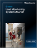 2026-2030年全球负载监测系统市场