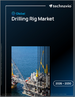 2026-2030年全球钻机市场