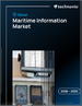 2026-2030年全球海事资讯市场