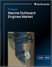 2026-2030年全球船用外置引擎市场