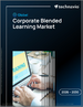 2026-2030年全球企业混合式学习市场