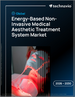 2026-2030年全球能量型非侵入式医疗美容治疗系统市场