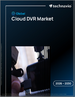 2026-2030年全球云端DVR市场