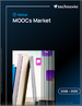 2026-2030年全球MOOC市场