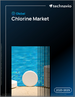 2025-2029年全球氯气市场