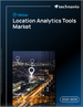 全球位置分析工具市场，2025-2029年