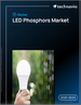 2025-2029年全球LED磷光体市场