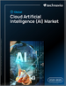 全球云端人工智慧（AI）市场，2025-2029年
