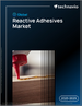 2025-2029年全球反应型黏合剂市场