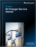 全球电动车充电服务市场，2025-2029年