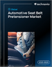2025-2029年全球汽车预束式安全带市场