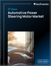 2025-2029年全球汽车动力方向盘马达市场