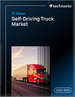 2025-2029年全球自动驾驶卡车市场