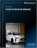 全球混合动力汽车市场，2025-2029年