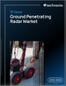 2025-2029年全球透地雷达市场