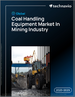 2025-2029年全球矿山煤炭处理设备市场