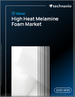 2025-2029年全球耐热三聚氰胺泡沫市场