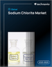 全球亚氯酸钠市场，2025-2029年