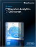 全球IT维运分析（ITOA）市场，2025-2029年