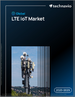 全球LTE物联网市场，2025-2029年