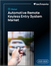 2025-2029年全球汽车遥控免钥出入控管系统市场