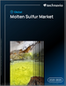 2025-2029年全球熔融硫市场