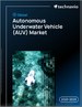 2025-2029年全球自主水下探勘（AUV）市场