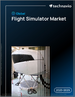 2025-2029年全球飞行模拟器市场
