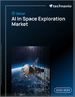 2025-2029年全球太空探勘人工智慧市场