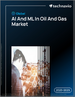 2025-2029年全球油气市场人工智慧（AI）与机器学习（ML）发展趋势