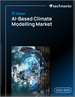 2025-2029年全球人工智慧气候建模市场