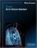 全球人工智慧视觉市场（2025-2029）