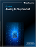 2025-2029年全球类比人工智慧晶片市场